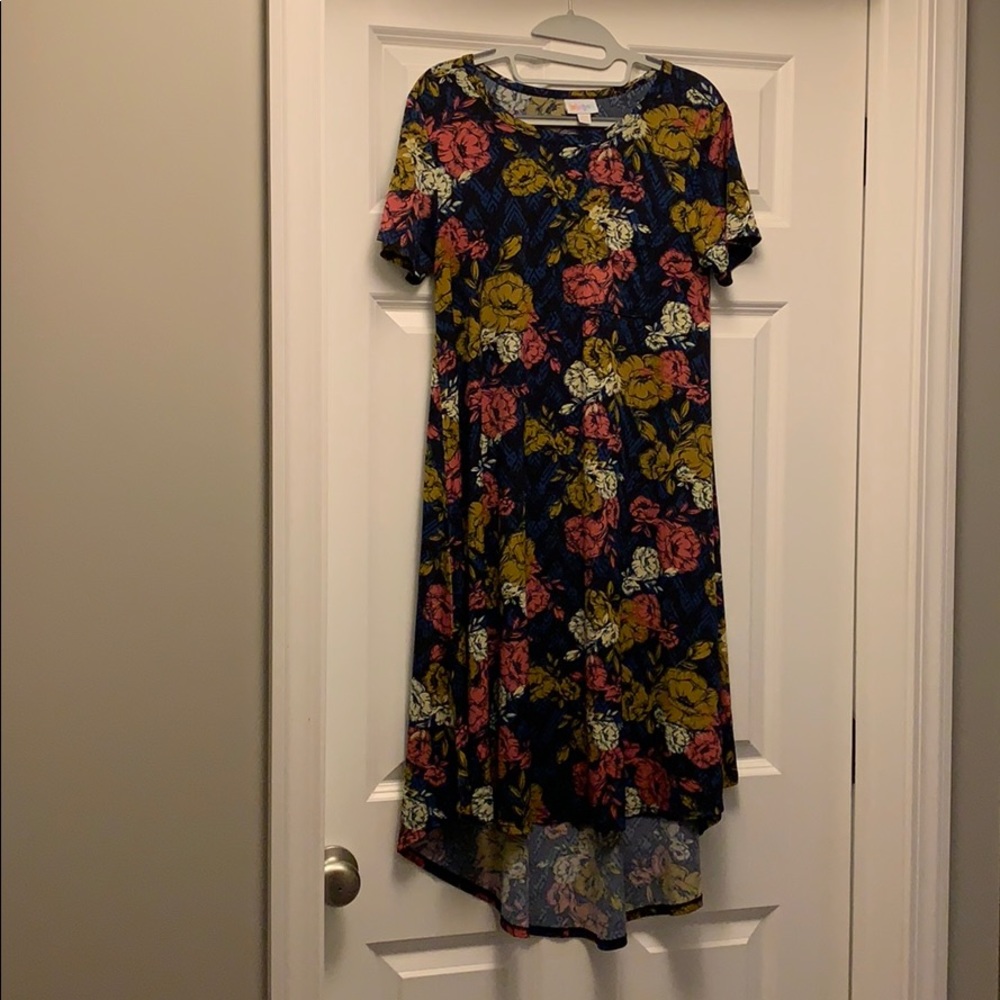Lularoe Carly dress